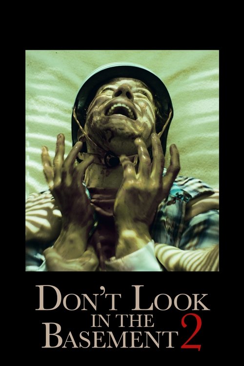 Movie poster for Don't Look in the Basement 2 (2015)