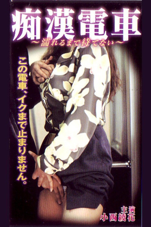 Movie poster for Groper Train: I Can't Wait Until I Get Wet (1998)