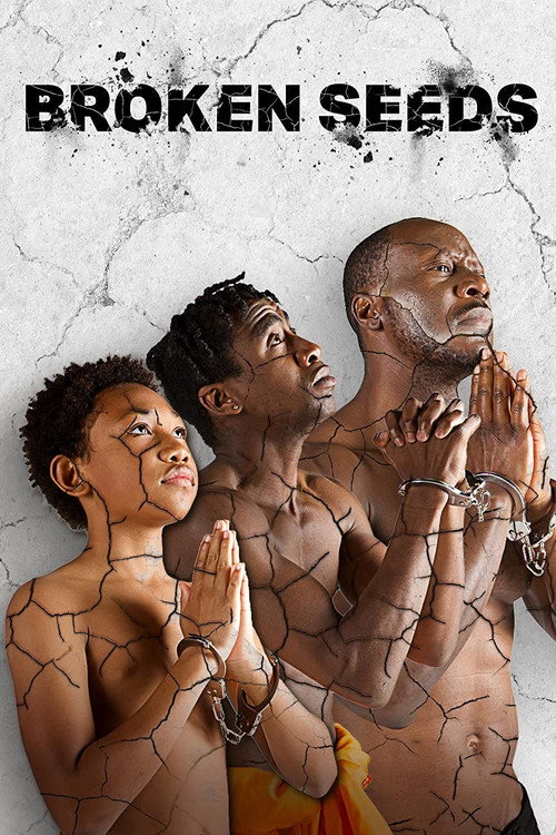 Series poster for Broken Seeds (2023)