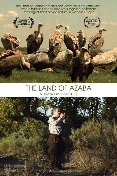 Movie poster for The Land of Azaba (2020)