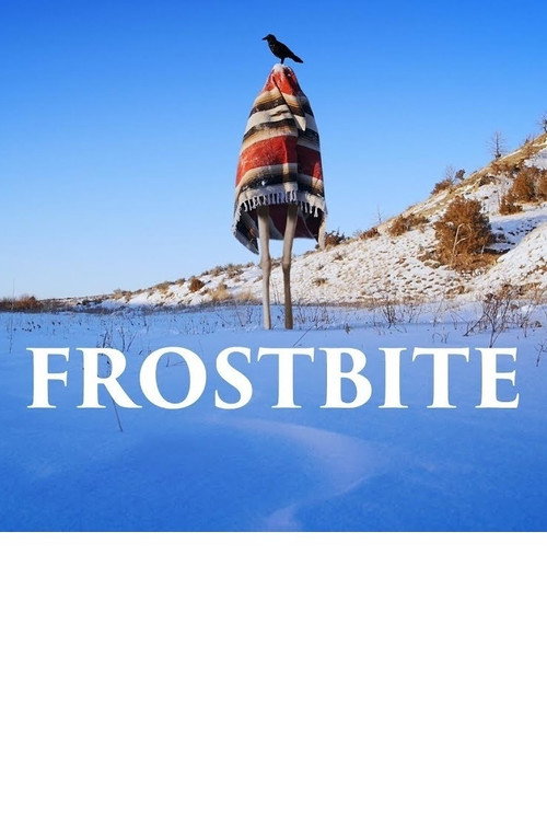 Movie poster for Frostbite (2017)