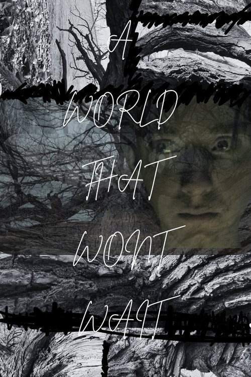 Movie poster for A World That Won't Wait