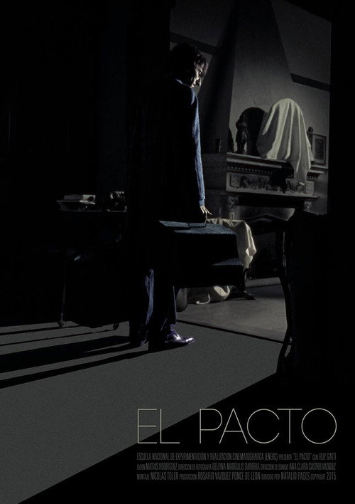 Movie poster for The Pact (2015)