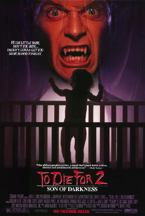 Movie poster for Son of Darkness: To Die For II (1991)