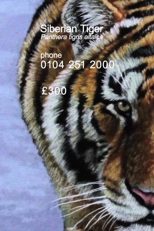 Movie poster for Siberian Tiger (2012)
