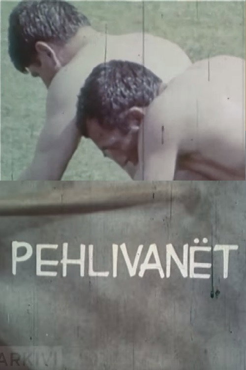 Movie poster for The Wrestlers (1975)