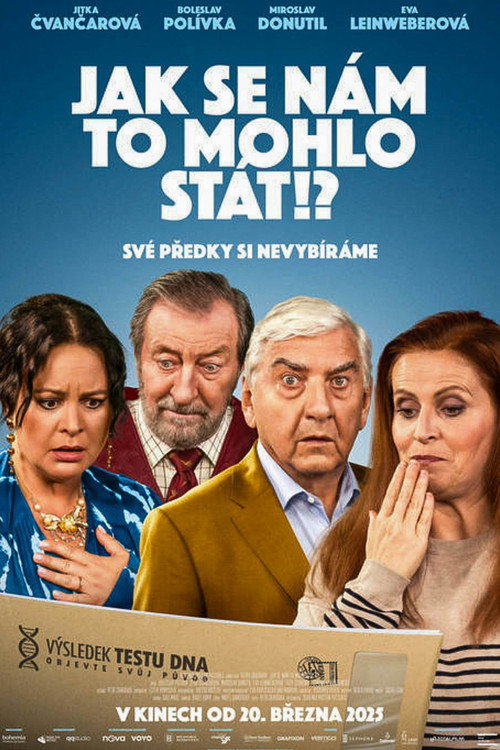 Movie poster for Jak se nám to mohlo stát!? (2025)