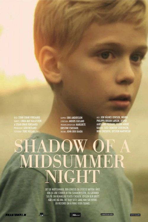 Movie poster for Shadow of a Midsummer Night (2011)