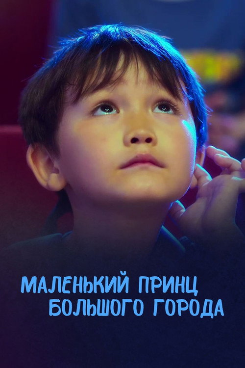 Movie poster for The Little Prince of the Big City (2015)