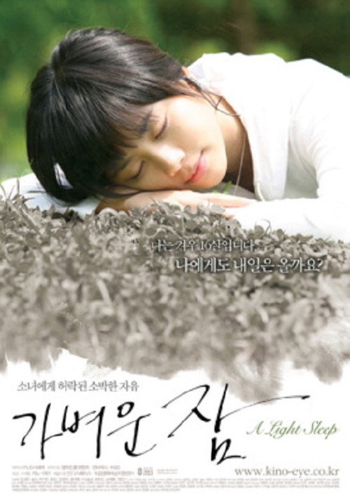 Movie poster for A Light Sleep (2008)