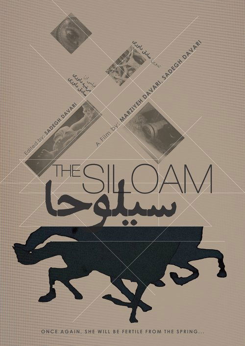 Movie poster for The Siloam (2024)