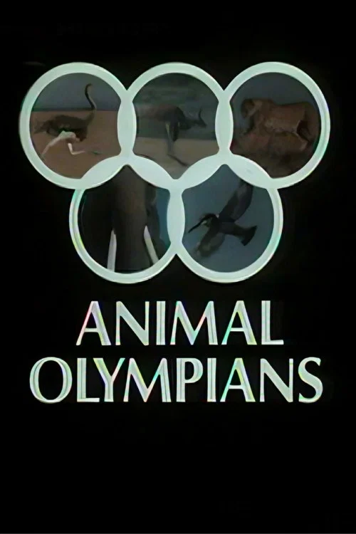 Movie poster for Animal Olympians (1980)
