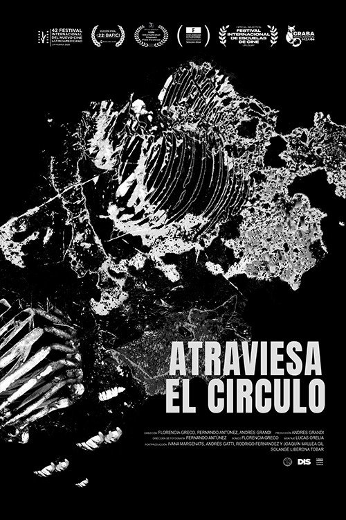 Movie poster for Atraviesa el Círculo (2020)