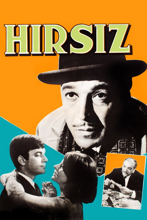 Movie poster for Hırsız (1965)