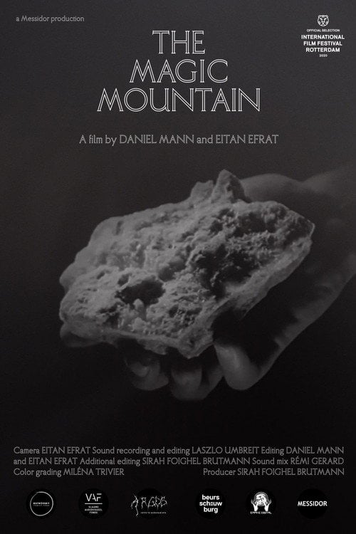 Movie poster for The Magic Mountain (2020)