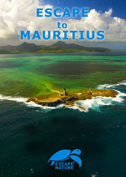 Movie poster for Escape to Mauritius (2009)