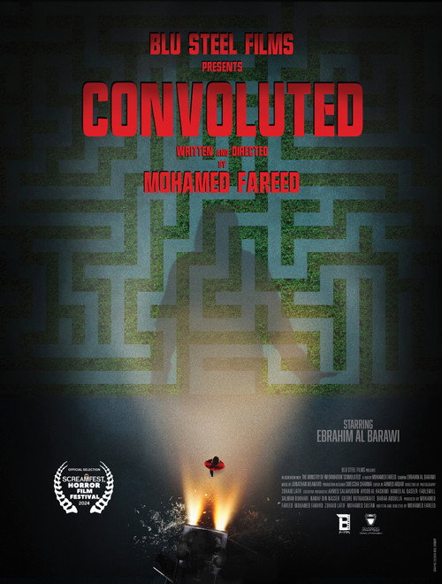 Movie poster for Convoluted (2024)