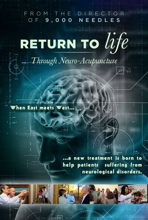 Movie poster for Return to Life