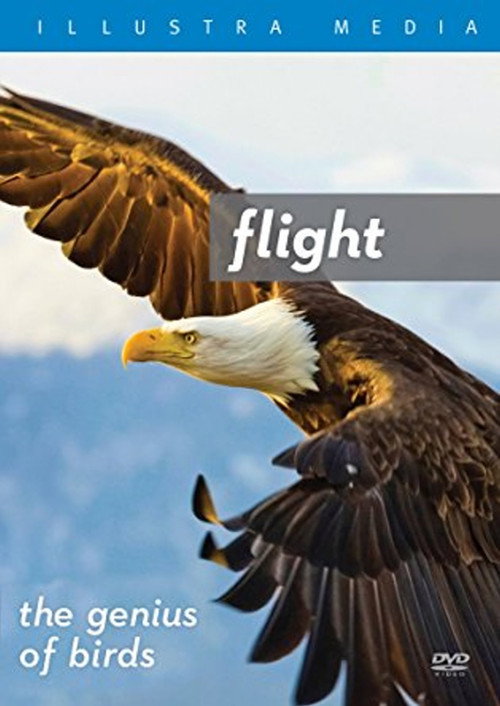 Movie poster for Flight: The Genius of Birds (2013)