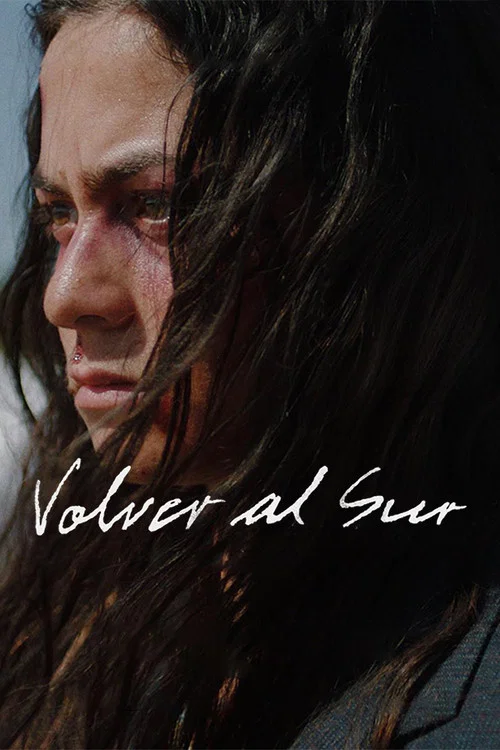 Movie poster for Returning South (2022)