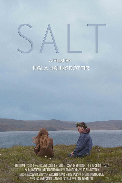 Movie poster for Salt (2014)
