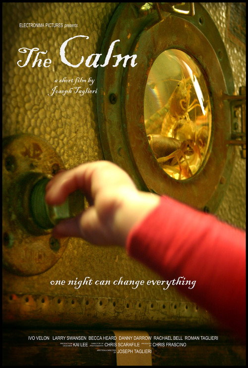 Movie poster for The Calm