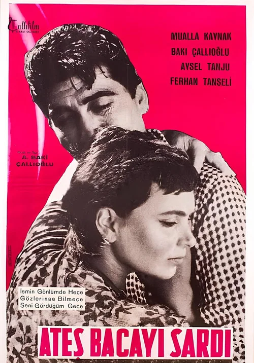 Movie poster for Ateş Bacayı Sardı (1961)