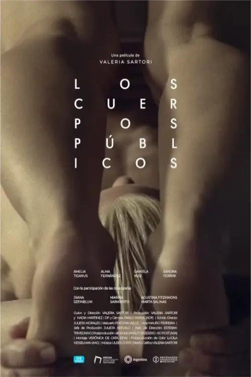 Movie poster for Public Bodies (2025)