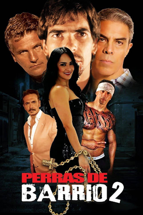 Movie poster for Perras de barrio 2 (2017)