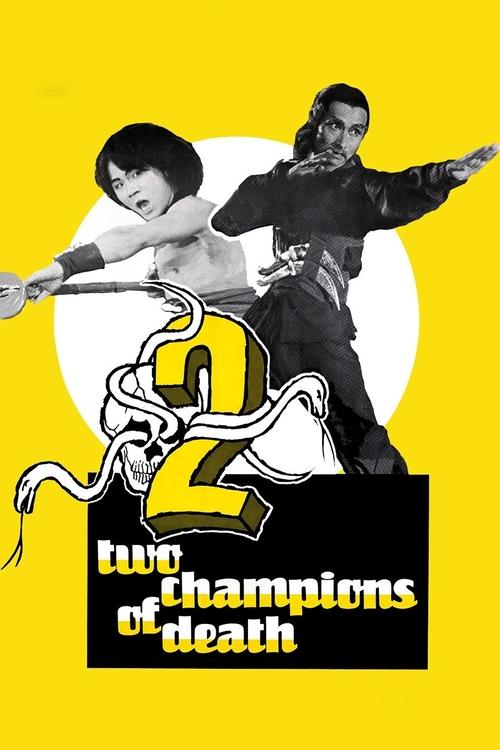 Movie poster for Two Champions of Shaolin (1980)