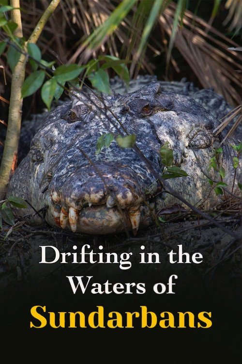 Movie poster for Drifting in the Waters of Sundarbans (2023)