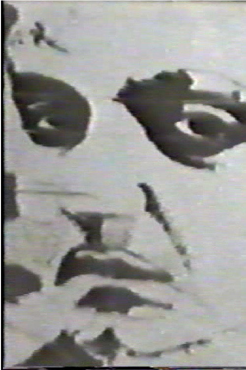 Movie poster for Goffredo (1967)