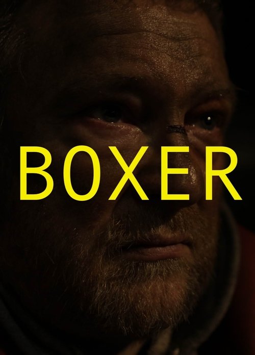 Movie poster for Boxer (2010)