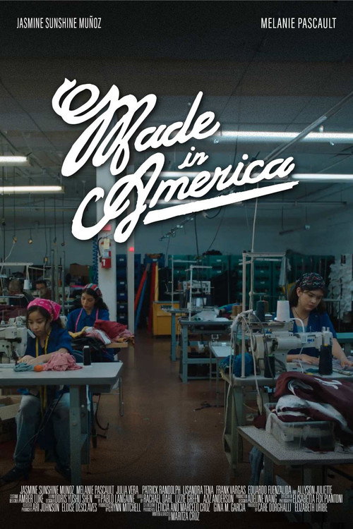 Movie poster for Made in America (2025)