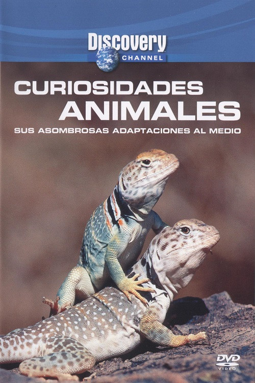 Movie poster for Wild Weird Animals (2004)