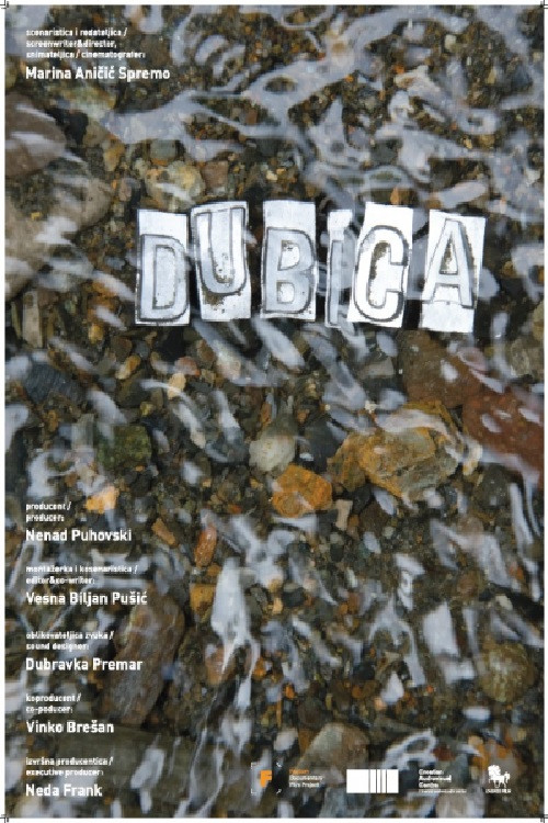 Movie poster for Dubica (2021)