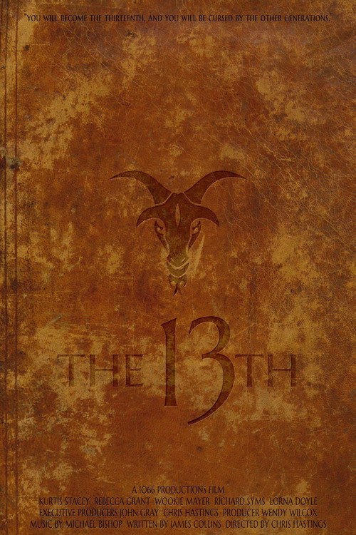 Movie poster for The 13th (2017)