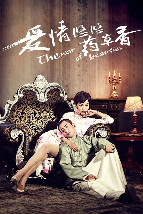 The War of Beauties poster