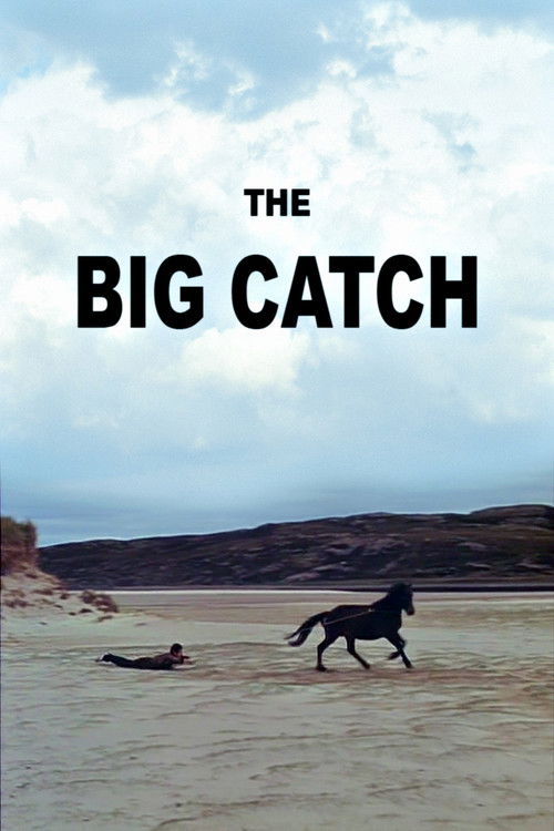 The Big Catch poster