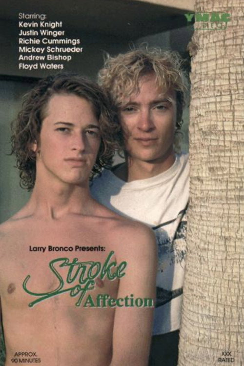 Movie poster for Stroke of Affection (1990)