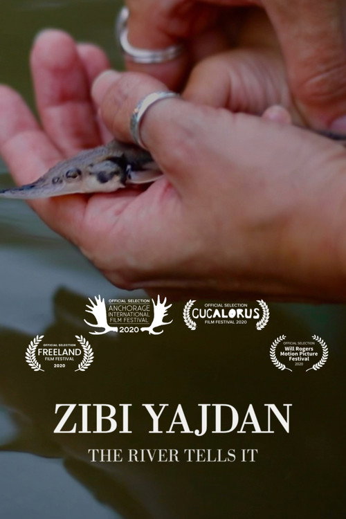 Movie poster for Zibi Yajdan (2020)