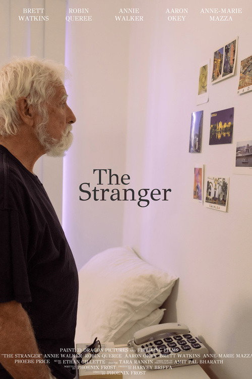 Movie poster for The Stranger (2022)