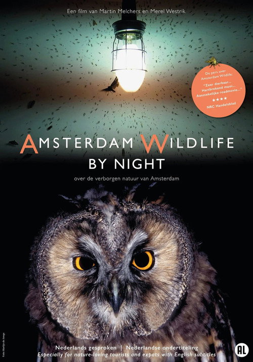 Movie poster for Amsterdam Wildlife by Night (2026)