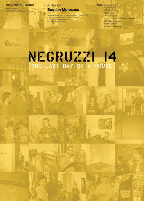 Movie poster for Negruzzi 14 (2016)