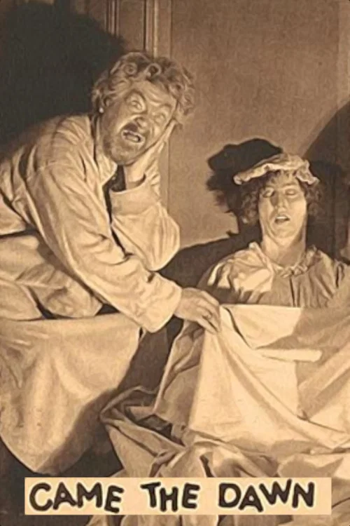 Movie poster for Came the Dawn (1928)