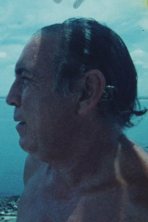Movie poster for Portrait of Carlos Vilaro