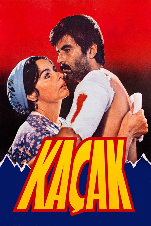 Movie poster for Kaçak (1982)