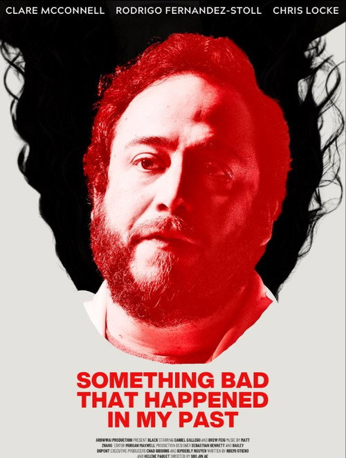 Movie poster for Something Bad That Happened in My Past (2025)