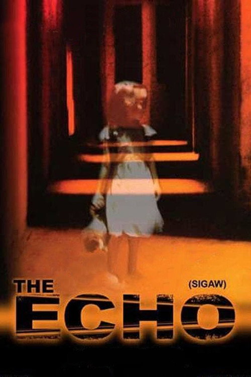 Movie poster for The Echo (2004)