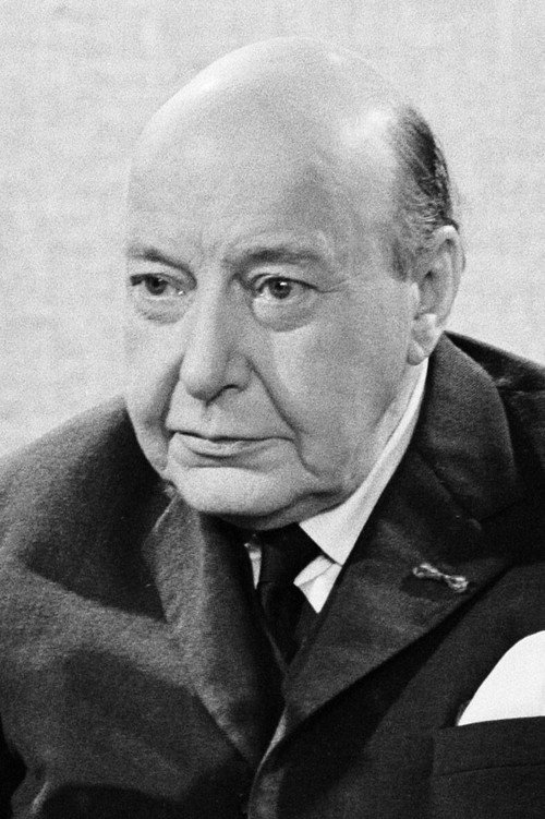 Photo of Albert van Dalsum, Acting